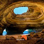 #209 Modern Bright & Stylish بورتيماو